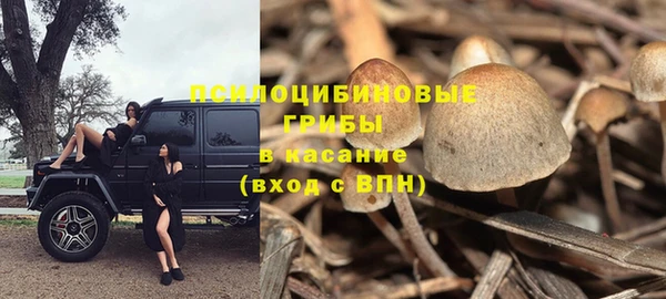 ECSTASY Абинск