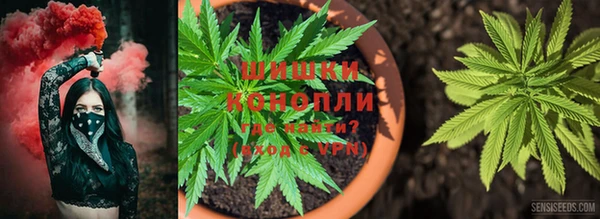 крисы Алексеевка