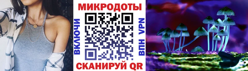 где найти наркотики  Котовск  Галлюциногенные грибы мухоморы 
